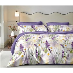 Текс-плюс КПБ Общий НФ-00244977