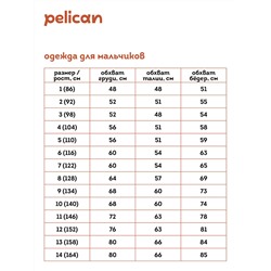 BFTK3354 (Футболка для мальчика, Pelican )