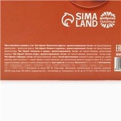 Чай новогодний в пакетиках «Счастливого Нового года», 5 шт.