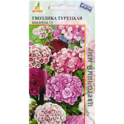 Гвоздика Турецкая Макарена F2 (Код: 72280)