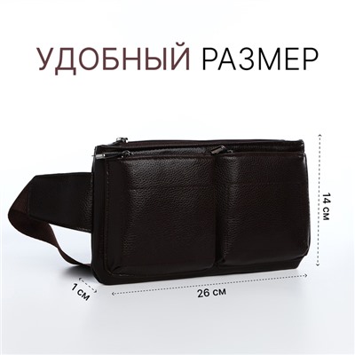 Сумка поясная на молнии, 2 наружных кармана, 26×1×14 см, коричневая