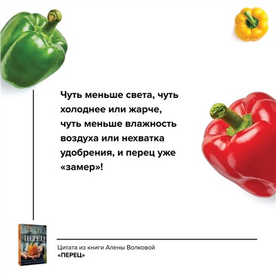 АСТ Алена Волкова "Перец. Выращиваем, ухаживаем и едим"