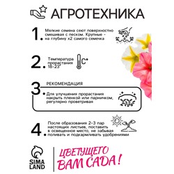 Семена   Петуния "Роза и лимон" F1 крупноцветковая ампельная, смесь окрасок , 10шт