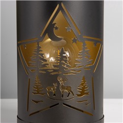 Фигурка светящаяся RISALUX «Ночной лес», LED-ночник, 3×ААА, чёрный, 12×12×20.5 см