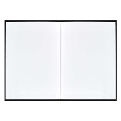 Записная книжка А6+  96л клетка ЛАЙТ "ДЕЛА-ДЕЛИШКИ" 61703 Феникс