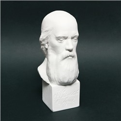 Гипсовая фигура известные люди: Бюст Салтыкова-Щедрина 20×9.5×10.5 см