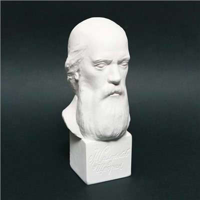 Гипсовая фигура известные люди: Бюст Салтыкова-Щедрина 20×9.5×10.5 см