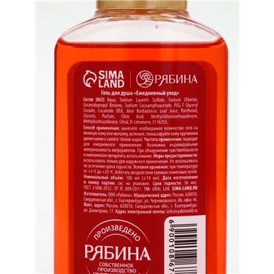 Подарочный набор новогодний: гель для душа 2 шт. х100 мл, мочалка для тела, аромат яблоко и глинтвейн, URAL LAB