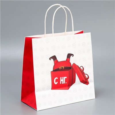 Набор пакетов подарочных новогодних «Пусть мечты сбудутся», 6 шт., 22×22×11 см