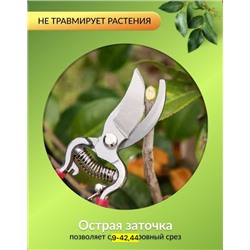 Артикул #22937985