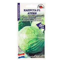 Семена Капуста белокочанная «Атрия», F1, 10 шт., среднепоздняя, «Золотая Сотка Алтая» селекция Semenis
