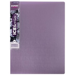 Папка пластиковая 4 кольца "Trend ICEberries" 700мкм 25 мм ежевика EC211420072 Expert Complete