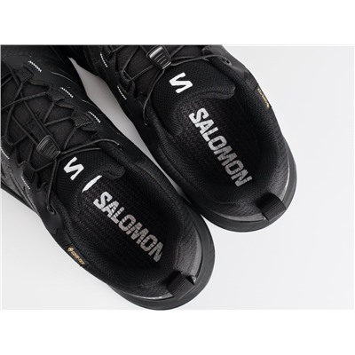 Кроссовки Salomon X ADVENTURE GTX
