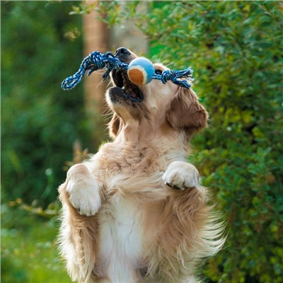 Игрушка тренировочная канатная, до 125 г, до 45 см, с мячом, цвет МИКС