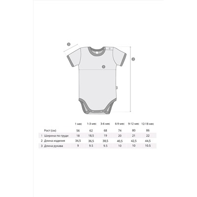 Боди BOSSA NOVA, 809297