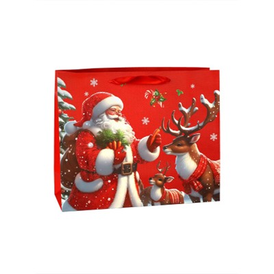 Пакет подарочный Новый год 32х26х11 / 1655-2 /уп 12/480/210г/м2 микс
