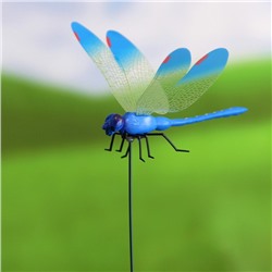 Штекер «Стрекоза Сенди», 14×9 см/45 см, набор 6 шт., МИКС