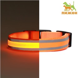 Ошейник с подсветкой Двойная полоса, S, ОШ 35-43×2.5 см, 3 режима свечения оранжевый