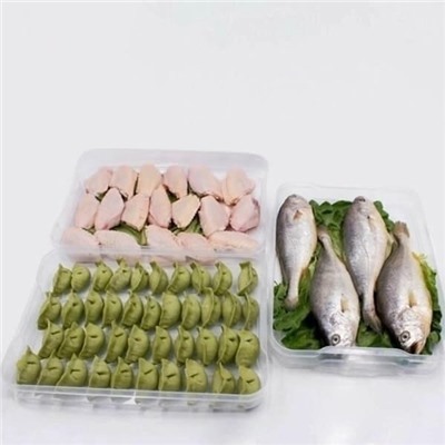 Контейнер- Поднос для заморозки пельменей и полуфабрикатов с крышкой #23046191