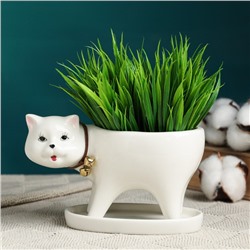Декоративный горшок для цветов «Кошка», 250 мл, 15.5×7.5×9.5 см, с поддоном, керамика, белый, Greengo