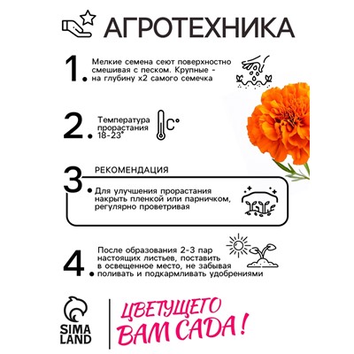 Семена цветов Бархатцы прямостоячие "Оранжевый принц", 0,3 г