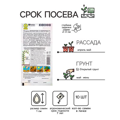 Семена Огурец "Мужичок с ноготок" F1, среднеранний, партенокарпический, 10 шт