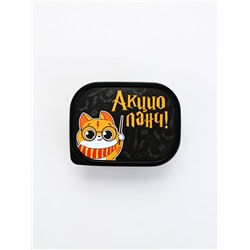 Ланч - бокс прямоугольный «Акцио ланч», 500 мл