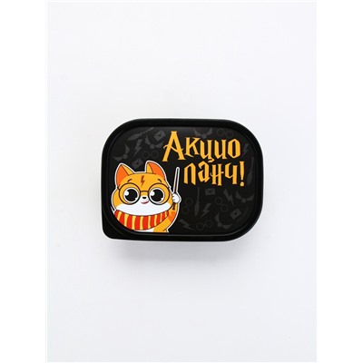 Ланч - бокс прямоугольный «Акцио ланч», 500 мл