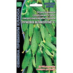 8064N Огурец Пучковое великолепие F1 5шт