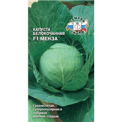 Капуста бк Менза F1 (Седек)