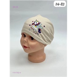 шапка 1731752-4