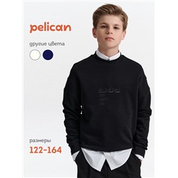 PELICAN Толстовка BFN7040U