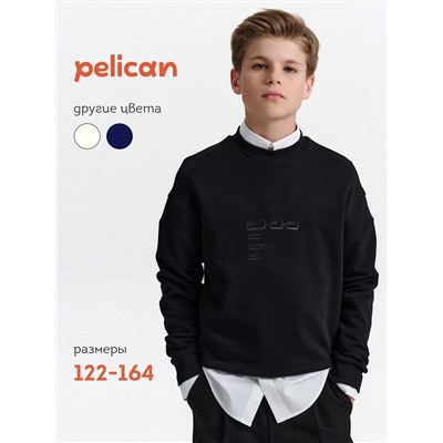 PELICAN Толстовка BFN7040U