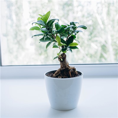 Кашпо для цветов, d=21 см, 5.2 л, пластик, белое