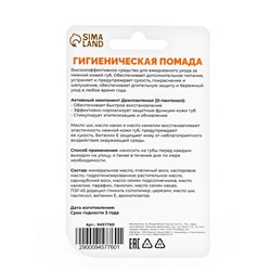 НАБОР губная помада гигиеническая EVO Пантенол, 5 штук по 2.8 г