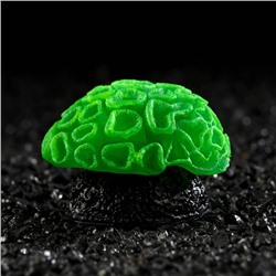 Декор для аквариума коралл Faviidae, 5×2.5 см, силиконовый, зелёный