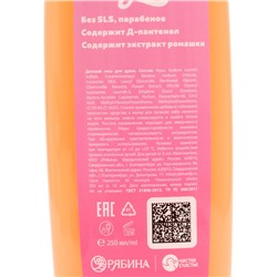 Гель для душа детский, аромат карамельные конфетки, 250 мл, Коты аристократы