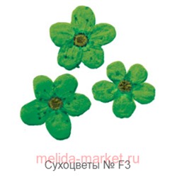 Severina Сухоцветы Dried flowers тон F-3 распродажа
