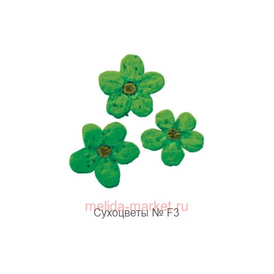 Severina Сухоцветы Dried flowers тон F-3 распродажа