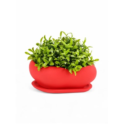 Горшок для кактусов и суккулентов «Бонсай», 600 мл, 18×14 см, керамический, с поддоном, красный