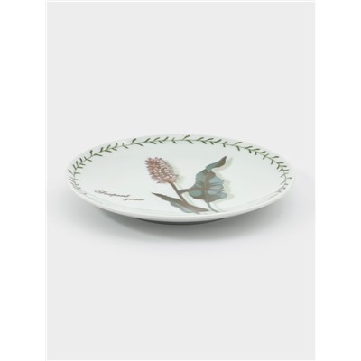 Тарелка фарфоровая «Ботаника», d=20 см