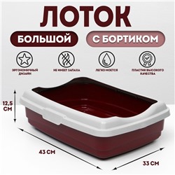 Лоток большой с бортиком Atlantis «Стандарт», 43×33×12.5 см, красный