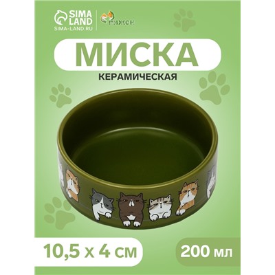 Миска керамическая «Парные коты» 200 мл - 10.5×10.5×4 см, зелёная