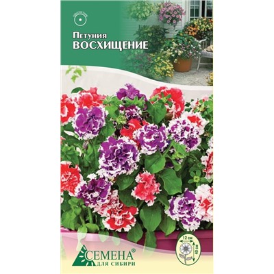 Петуния Восхищение F1 махровая, 10сем (цв.)