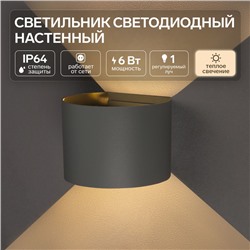 Светильник светодиодный настенный FSD-005, 6 Вт, 450 Лм, 3000К, IP54, 220 В, металл, серый