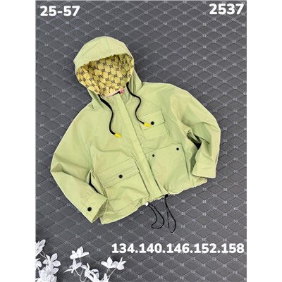 Ветровка 2537 зеленый