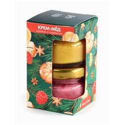Мёд кремовый новогодний, с кусочками сублимированного апельсина, малины, набор 2 шт.×30 г