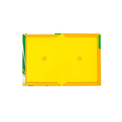 Ловушка-книжка от грызунов SAFEX стандарт