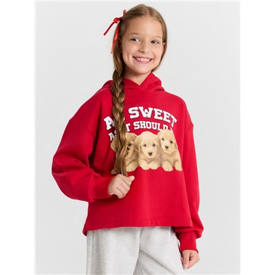 ХУДИ ДЛЯ ДЕВОЧЕК 127965