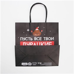 Пакет подарочный новогодний «Пусть мечты сбудутся», 22×22×11 см